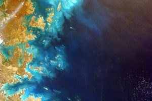 sattelites-technologie-vue-terre-faune